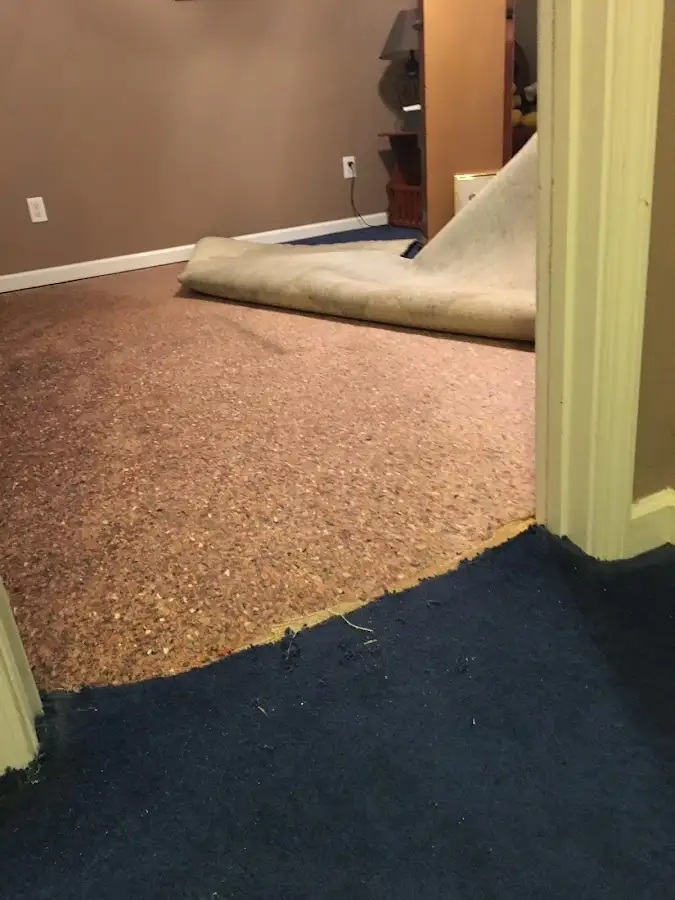Carpet pad removal revealing water damage during Water Mitigation Services in Maumee