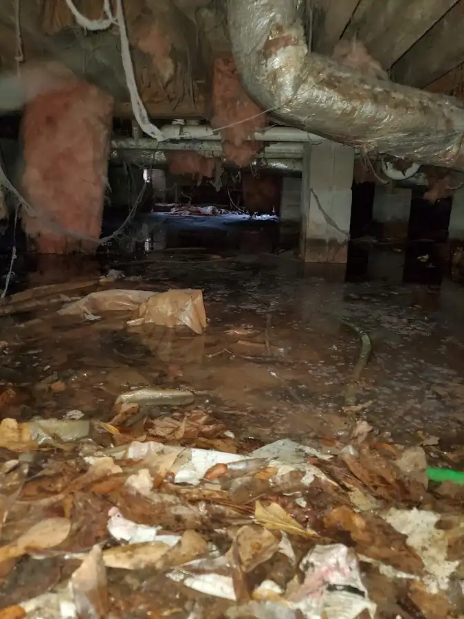 Crawl space flood assessment for Leak Detection & Repair in Maumee