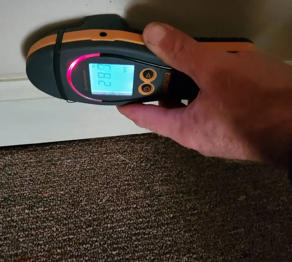 Moisture detection at baseboard during Sewage Cleanup & Sanitation in Maumee